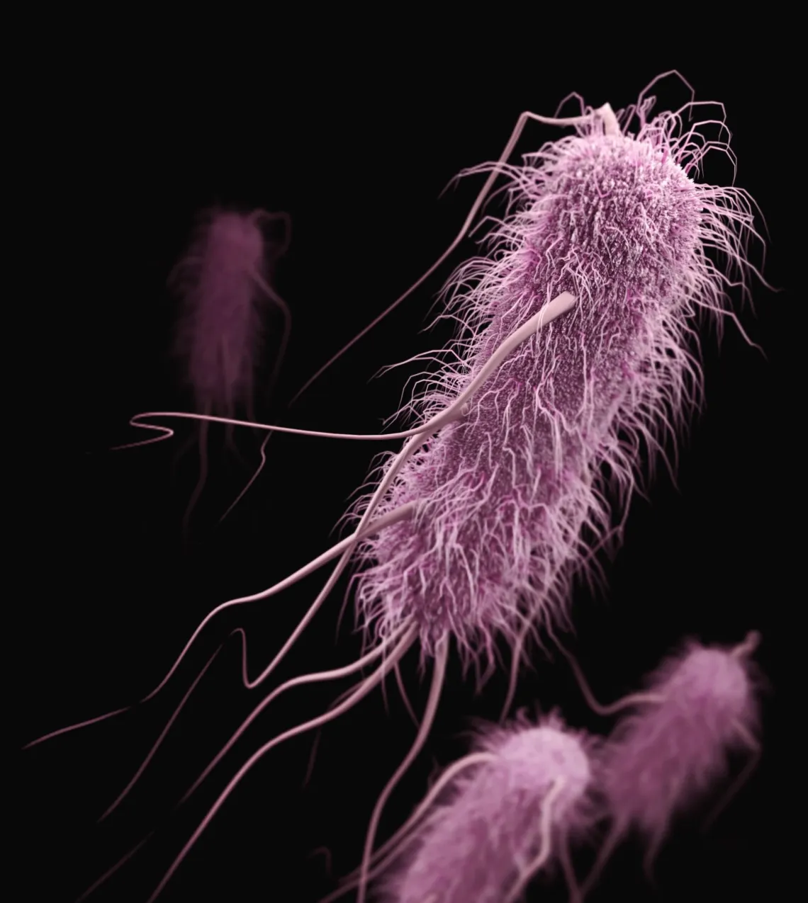 Your Gut Microbes Affect Your Brain